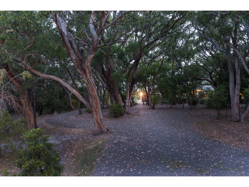 420 Great Ocean Road, Apollo Bay VIC 3233