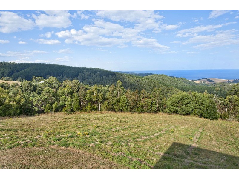 115 Morris Access, Apollo Bay VIC 3233