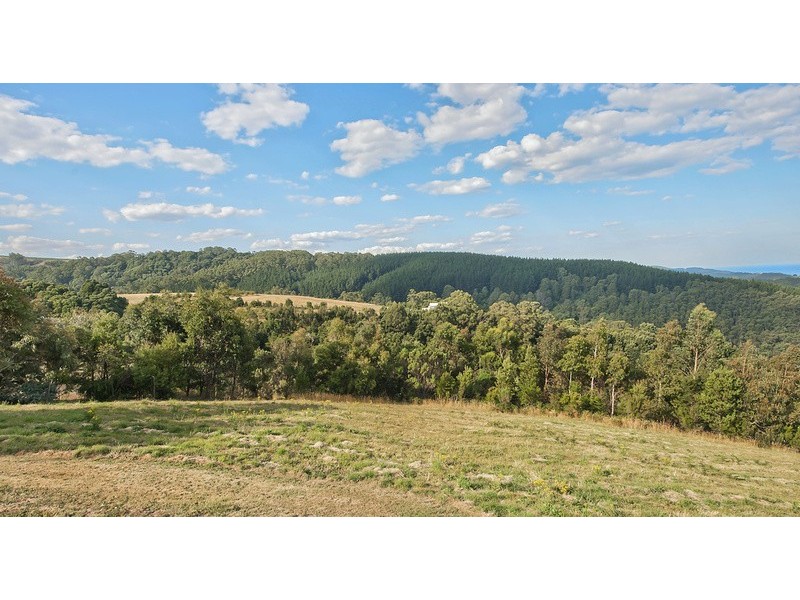 115 Morris Access, Apollo Bay VIC 3233