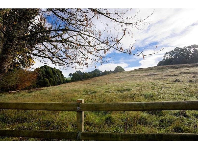 790 Denherts Track, Beech Forest VIC 3237