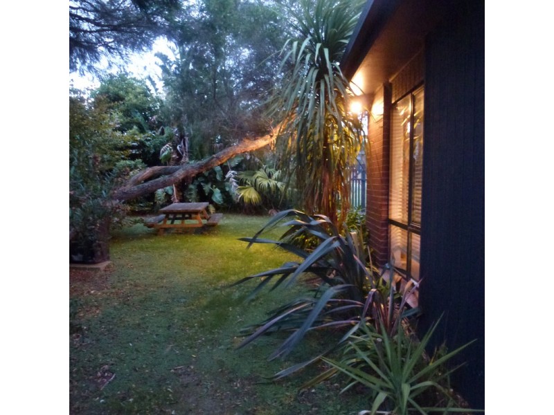 1/22 Nelson Street (Cnr Pascoe Street), Apollo Bay VIC 3233