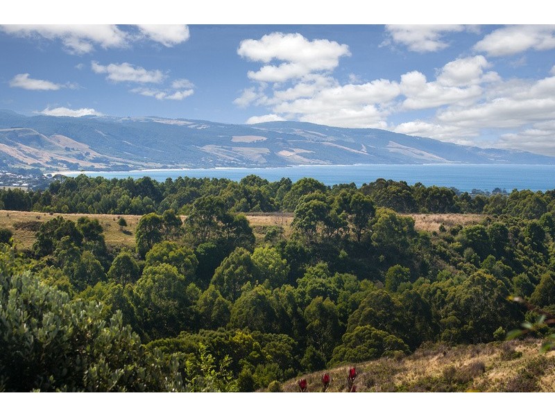 570 Great Ocean Road, Apollo Bay VIC 3233