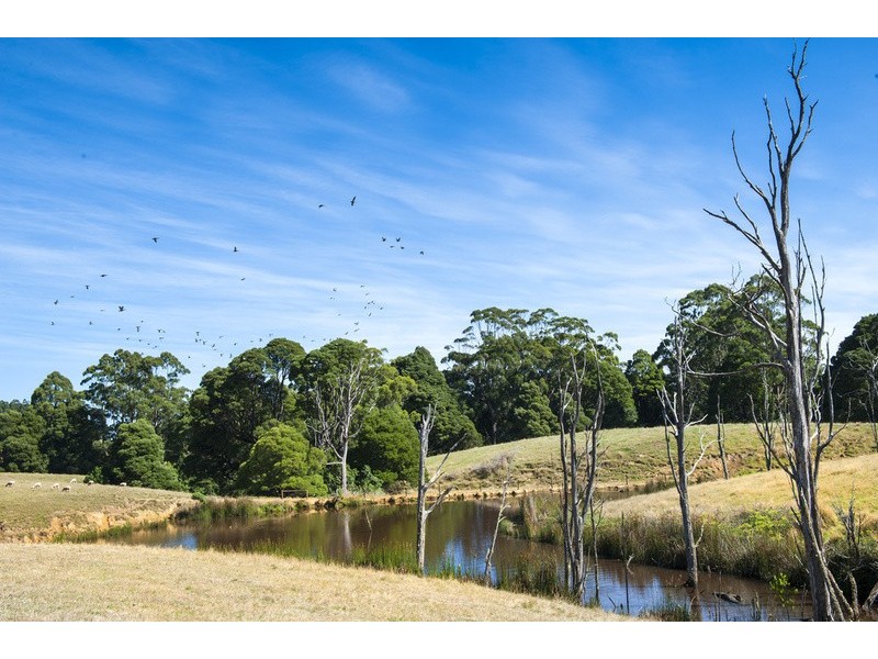 4880 Great Ocean Road, Lavers Hill VIC 3238