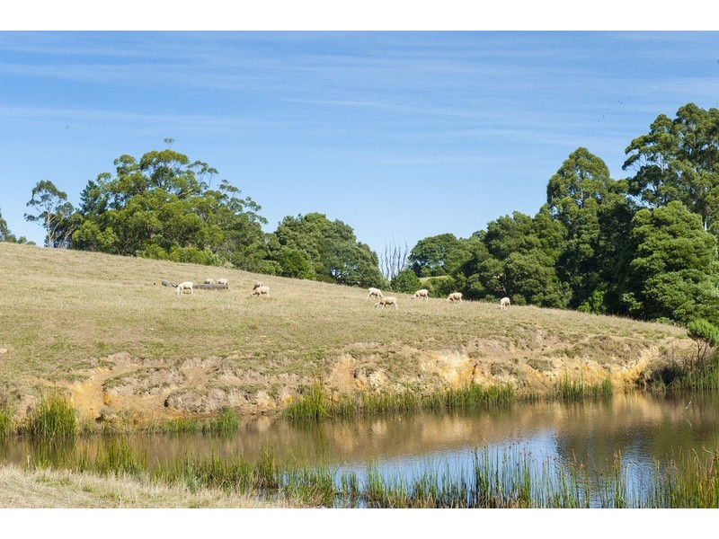 4880 Great Ocean Road, Lavers Hill VIC 3238