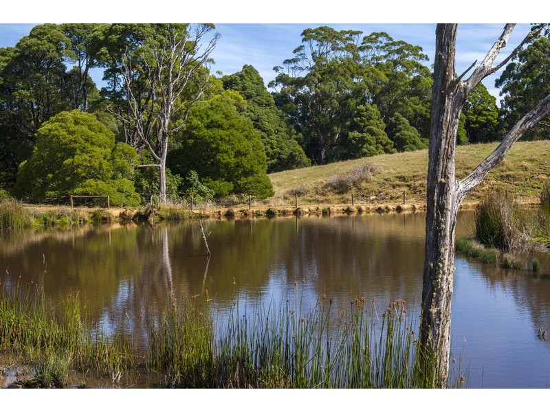 4880 Great Ocean Road, Lavers Hill VIC 3238