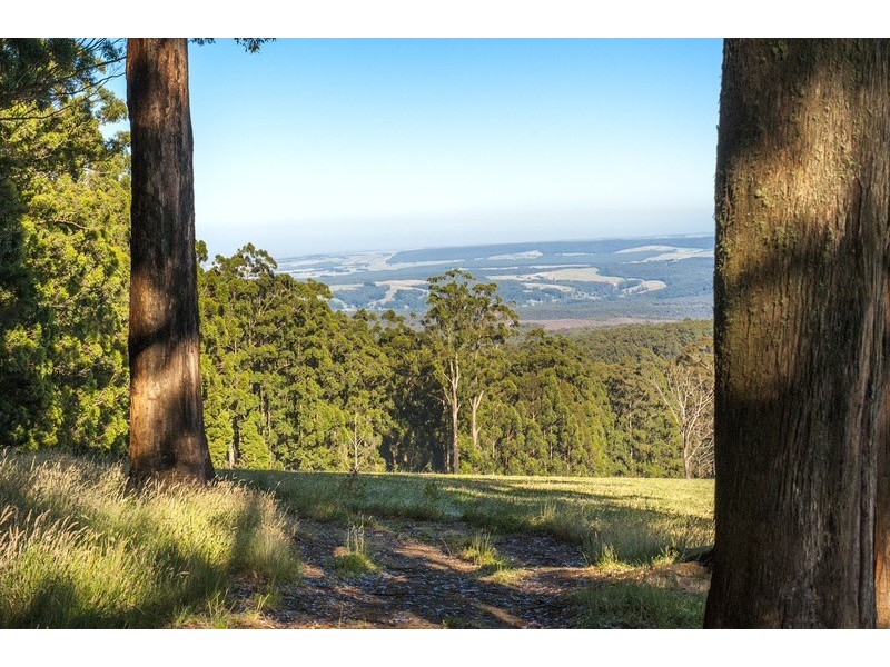 4880 Great Ocean Road, Lavers Hill VIC 3238