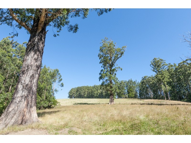 4880 Great Ocean Road, Lavers Hill VIC 3238