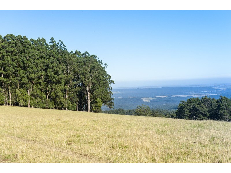 4880 Great Ocean Road, Lavers Hill VIC 3238