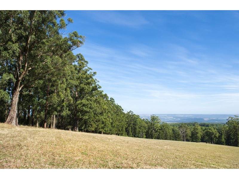 4880 Great Ocean Road, Lavers Hill VIC 3238