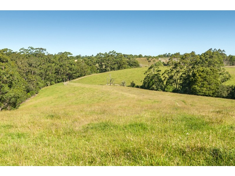 4880 Great Ocean Road, Lavers Hill VIC 3238