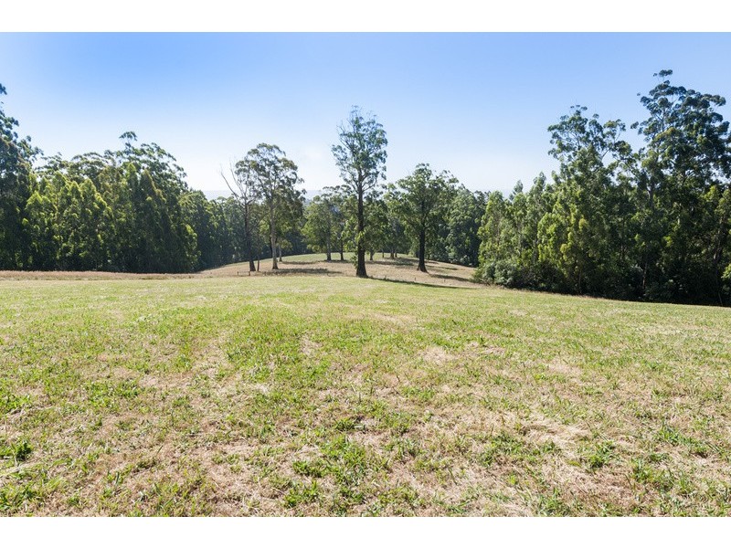 4880 Great Ocean Road, Lavers Hill VIC 3238