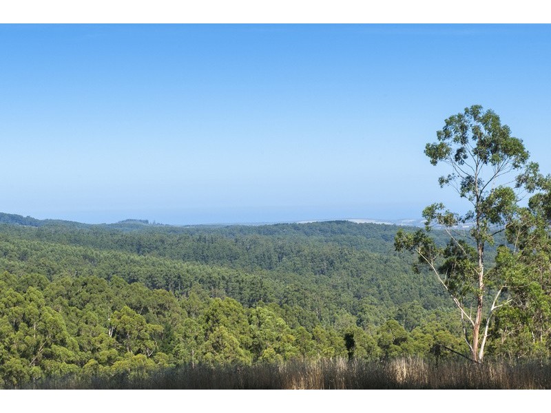 4880 Great Ocean Road, Lavers Hill VIC 3238