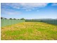 13 Park Avenue, Apollo Bay VIC 3233