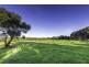 13 Ocean Park Drive, Apollo Bay VIC 3233