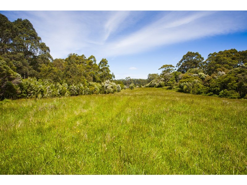 5495 Great Ocean Road, Yuulong VIC 3237