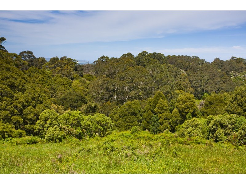 5495 Great Ocean Road, Yuulong VIC 3237