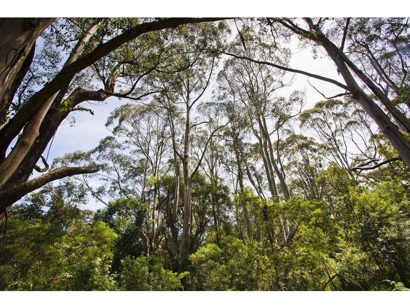 5495 Great Ocean Road, Yuulong VIC 3237