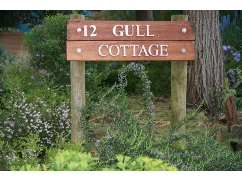 12 Visa Avenue, Skenes Creek VIC 3233