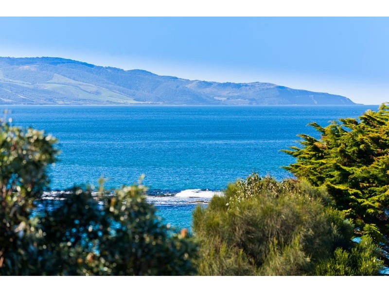 19 Harrison Street, Marengo VIC 3233