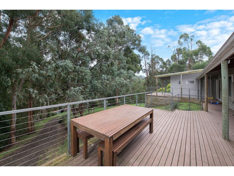 360 Wild Dog Road, Apollo Bay VIC 3233