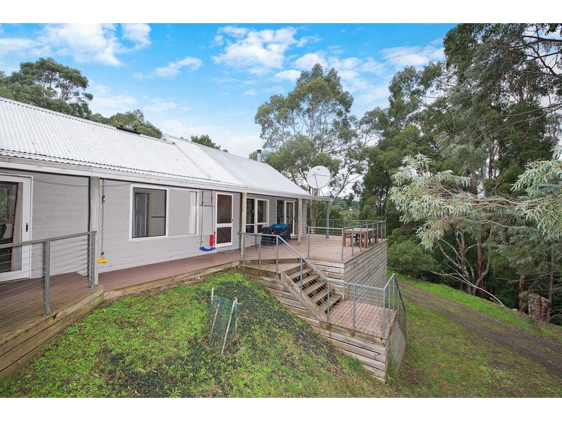 360 Wild Dog Road, Apollo Bay VIC 3233