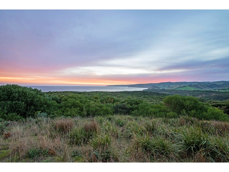 155 Evans Track Johanna, Apollo Bay VIC 3233