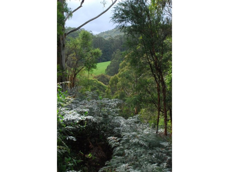 318 Old Ocean Road, Glenaire VIC 3238