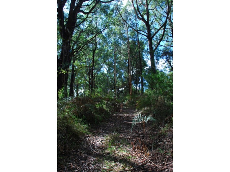 318 Old Ocean Road, Glenaire VIC 3238