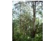 318 Old Ocean Road, Glenaire VIC 3238