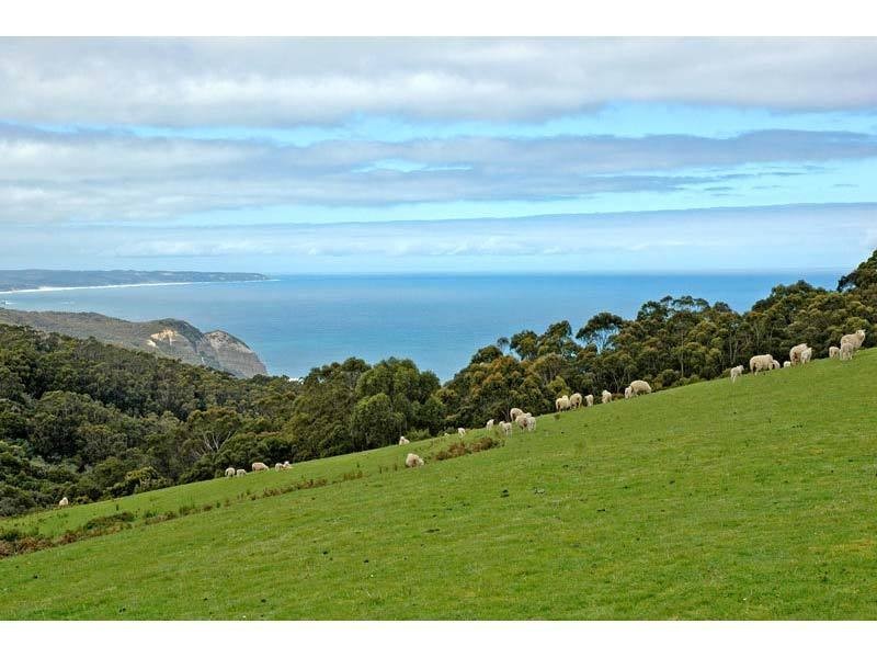 5915 Great Ocean Road, Yuulong VIC 3237