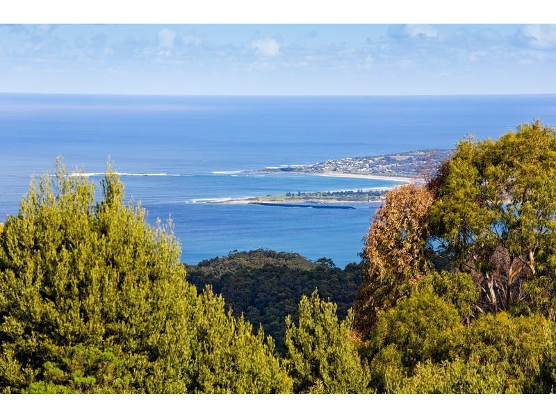 125 Morris Access, Apollo Bay VIC 3233