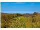 855 Great Ocean Road, Apollo Bay VIC 3233