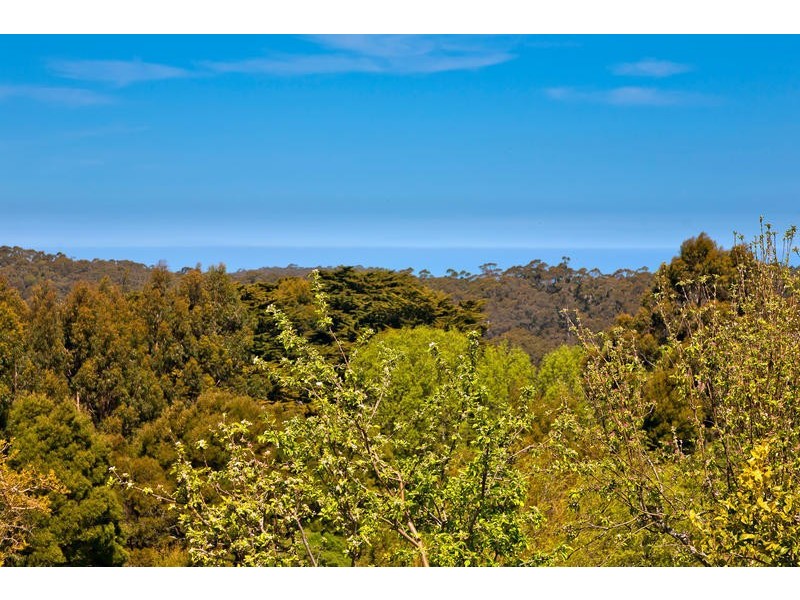 855 Great Ocean Road, Apollo Bay VIC 3233