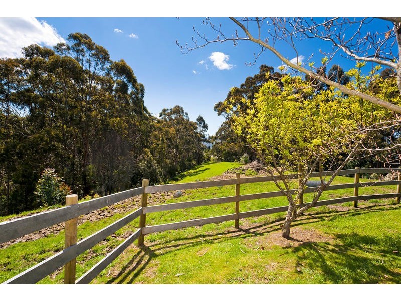 855 Great Ocean Road, Apollo Bay VIC 3233