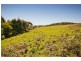 Lot 1 Parkers Access, Yuulong VIC 3237