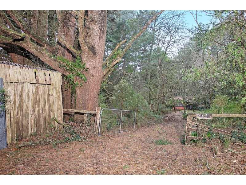 1100 Skenes Creek Road, Tanybryn VIC 3249