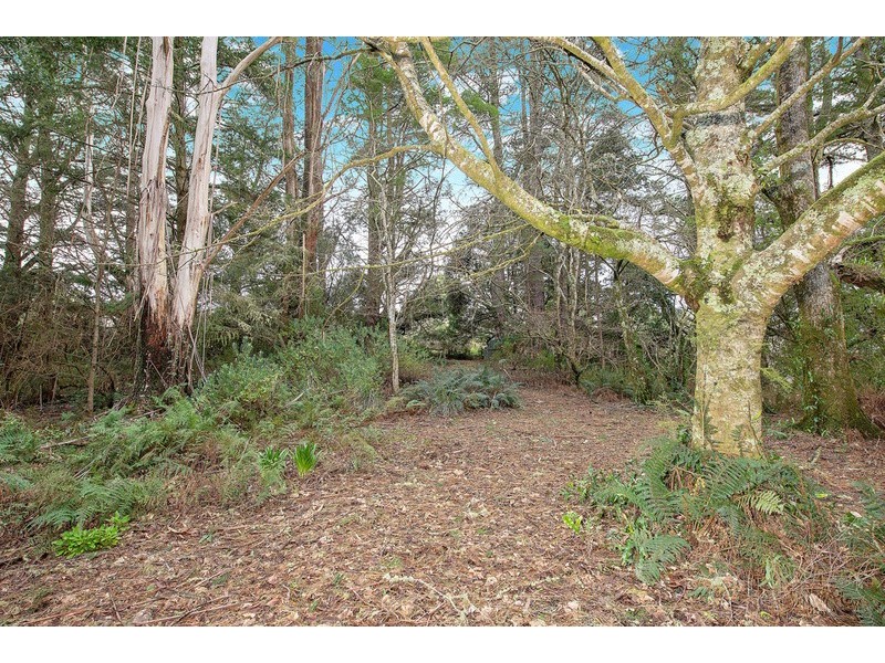 1100 Skenes Creek Road, Tanybryn VIC 3249