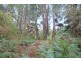1100 Skenes Creek Road, Tanybryn VIC 3249