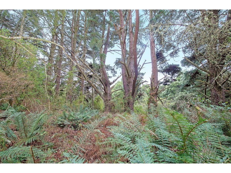 1100 Skenes Creek Road, Tanybryn VIC 3249