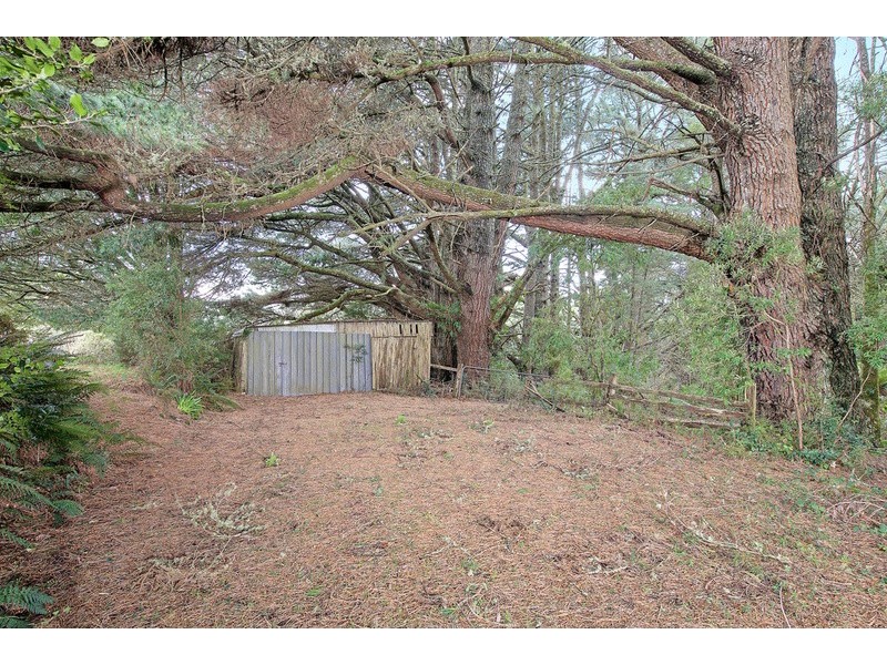 1100 Skenes Creek Road, Tanybryn VIC 3249