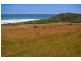 4990 Great Ocean Road, Apollo Bay VIC 3233
