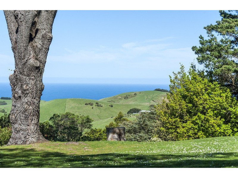 245 Busty Road, Apollo Bay VIC 3233
