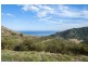 245 Busty Road, Apollo Bay VIC 3233