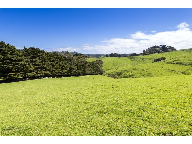 200 Busty Road, Apollo Bay VIC 3233