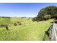 200 Busty Road, Apollo Bay VIC 3233