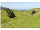 200 Busty Road, Apollo Bay VIC 3233