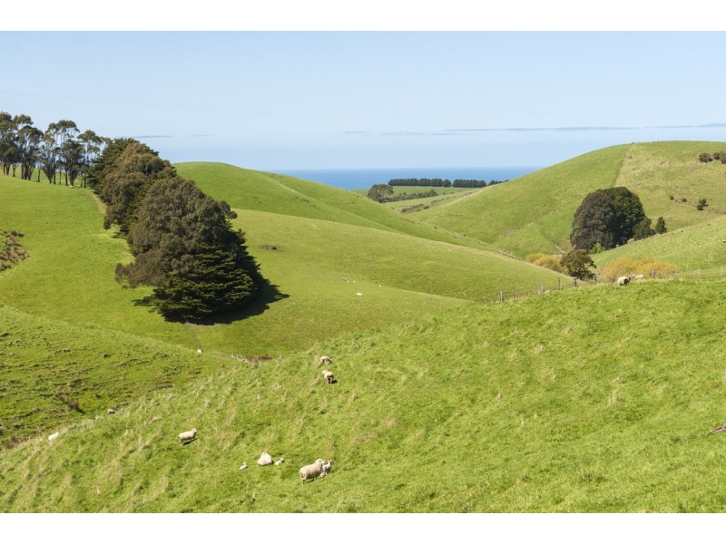 200 Busty Road, Apollo Bay VIC 3233
