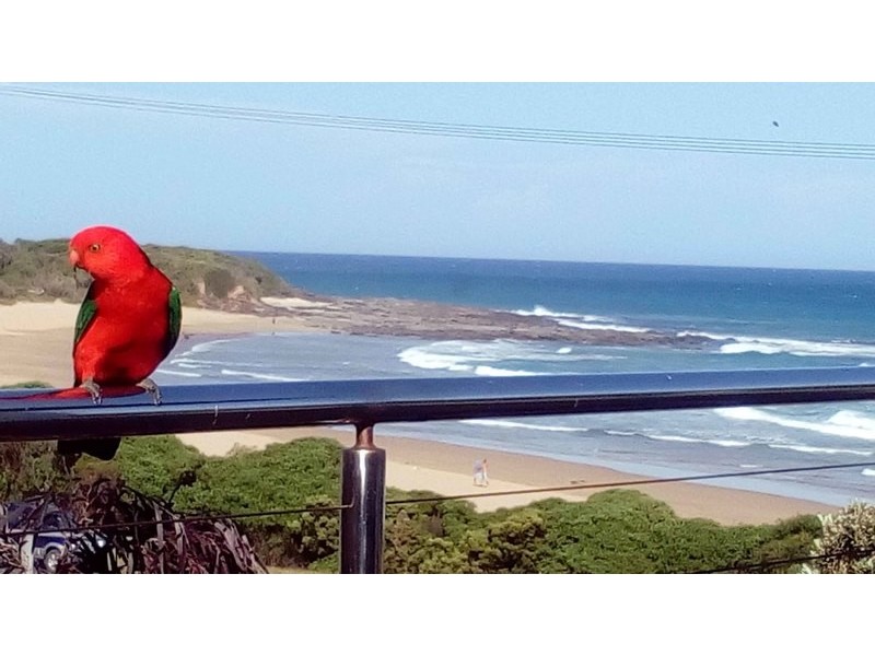 4 Motts Lane, Apollo Bay VIC 3233