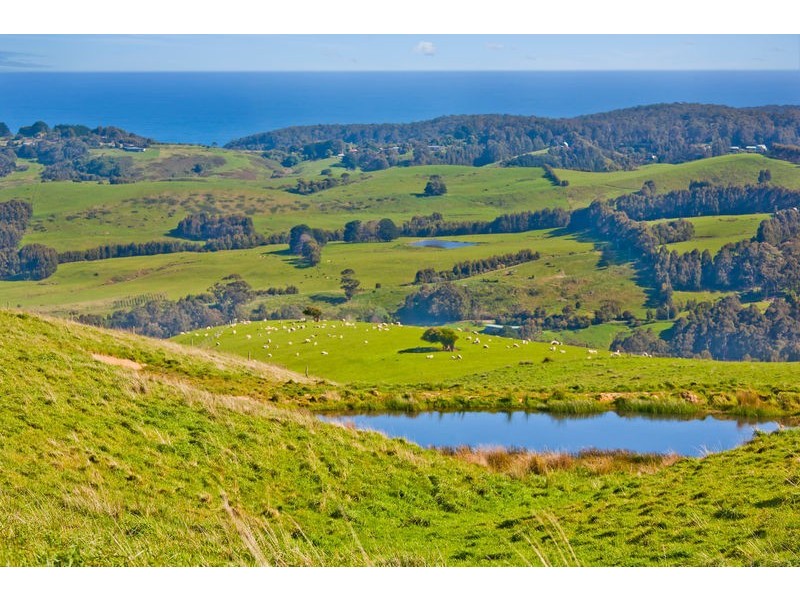 300 Montrose Avenue, Apollo Bay VIC 3233