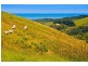 3170 Great Ocean Road, Apollo Bay VIC 3233